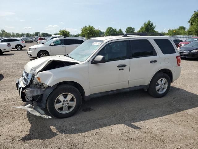 2009 Ford Escape XLT