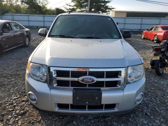 2012 Ford Escape XLT