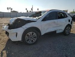 Salvage cars for sale at Mercedes, TX auction: 2020 Ford Escape SEL