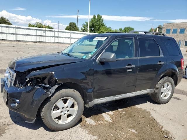 2009 Ford Escape XLT