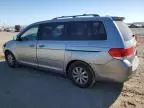 2008 Honda Odyssey EXL