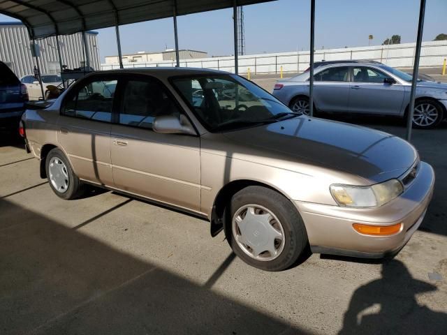 1996 Toyota Corolla DX