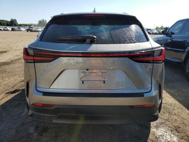 2024 Lexus NX 250 Base