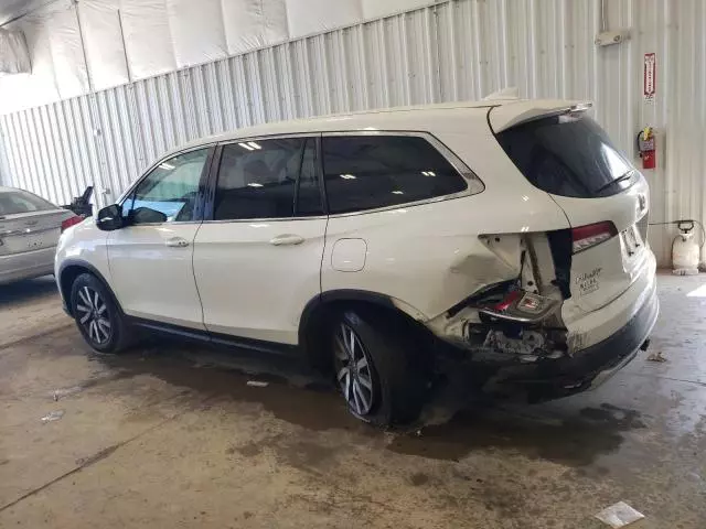 2019 Honda Pilot EXL