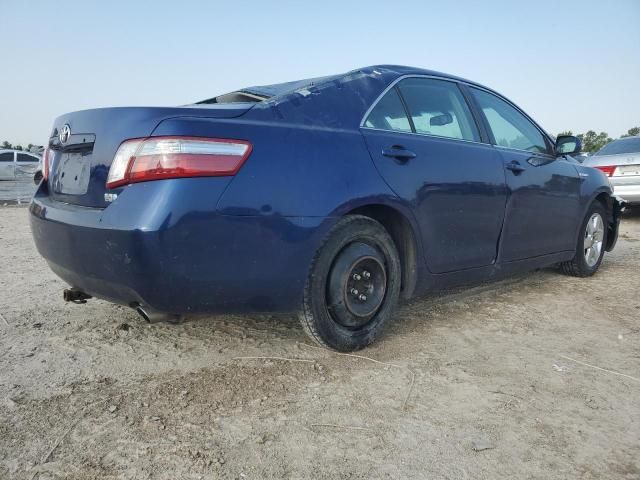 2009 Toyota Camry Hybrid