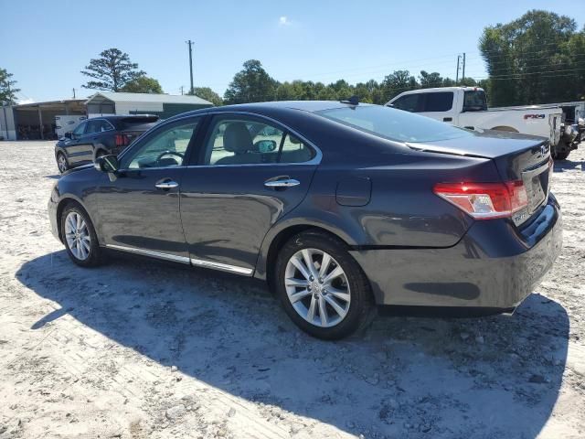 2010 Lexus ES 350