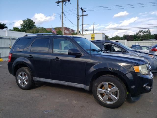 2011 Ford Escape Limited