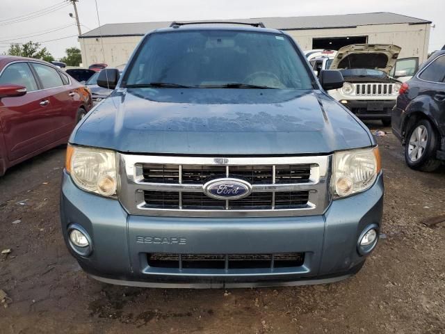 2010 Ford Escape XLT