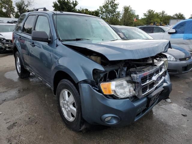 2010 Ford Escape XLT