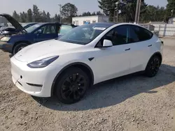 Tesla Vehiculos salvage en venta: 2023 Tesla Model Y