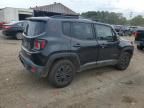 2017 Jeep Renegade Trailhawk