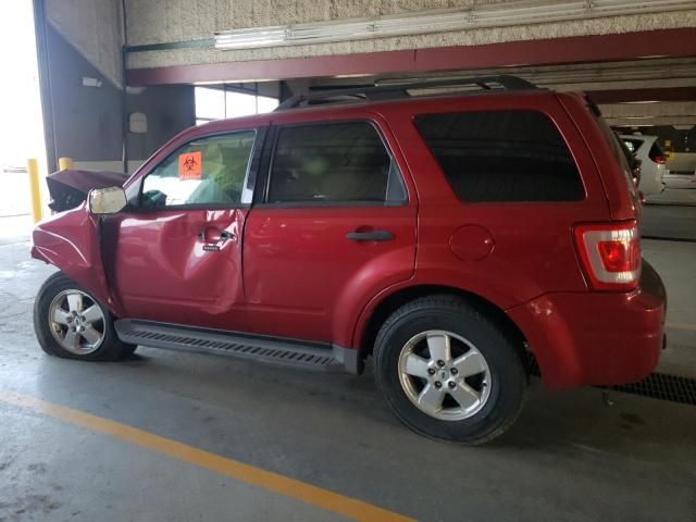 2009 Ford Escape XLT