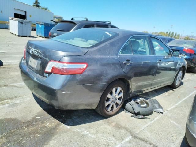 2009 Toyota Camry Hybrid