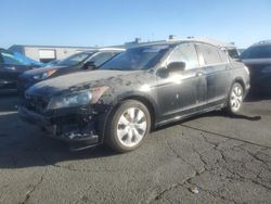 Salvage cars for sale at auction: 2009 Honda Accord EXL