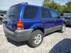 2006 Ford Escape XLT