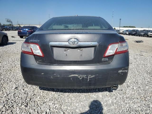 2010 Toyota Camry Hybrid