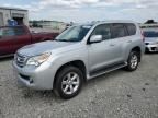 2010 Lexus GX 460