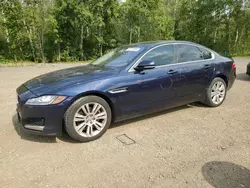 Salvage cars for sale at Cookstown, ON auction: 2016 Jaguar XF Premium