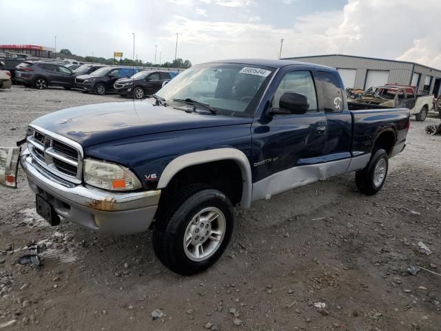 2000 Dodge Dakota