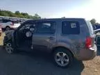 2014 Honda Pilot EXL