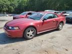 2004 Ford Mustang