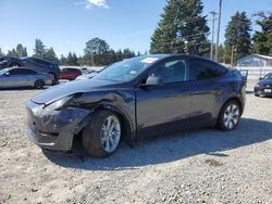 Tesla Vehiculos salvage en venta: 2024 Tesla Model Y