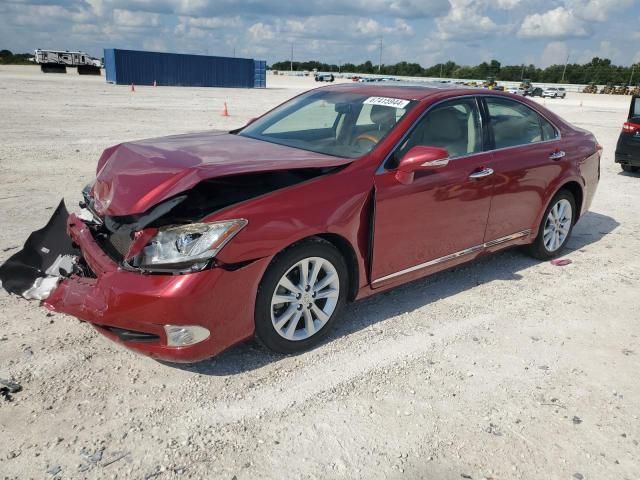 2010 Lexus ES 350