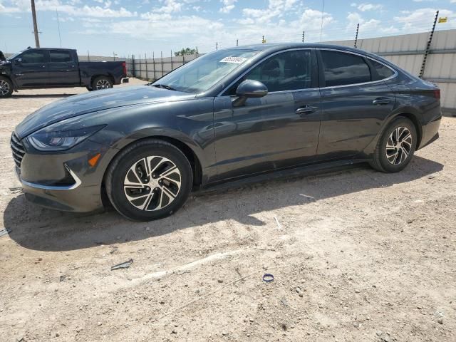 2021 Hyundai Sonata Hybrid