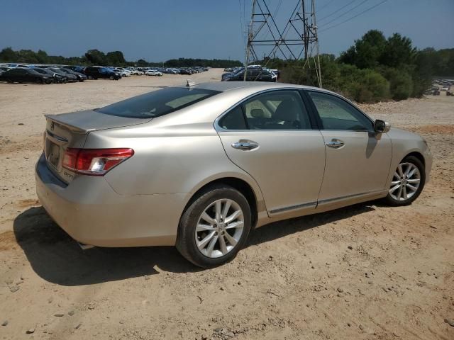 2010 Lexus ES 350