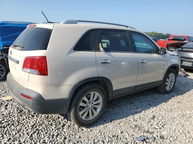 2011 KIA Sorento Base