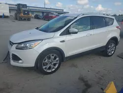 Ford salvage cars for sale: 2014 Ford Escape Titanium