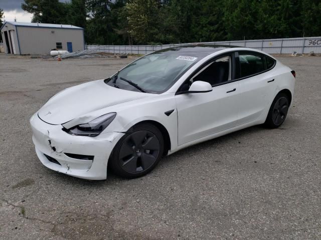 2023 Tesla Model 3