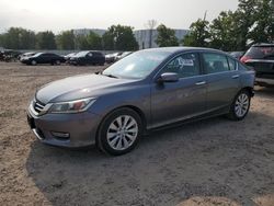 2013 Honda Accord EXL en venta en Central Square, NY