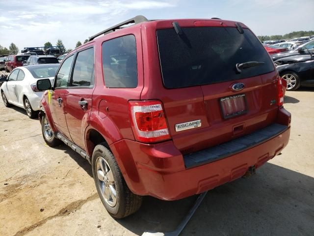 2010 Ford Escape XLT