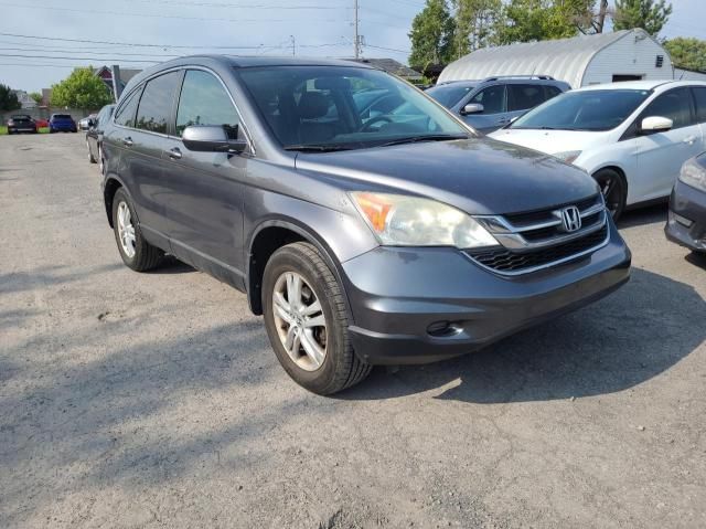 2010 Honda CR-V EXL