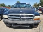 2004 Dodge Dakota SXT