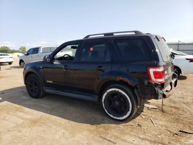 2008 Ford Escape XLT