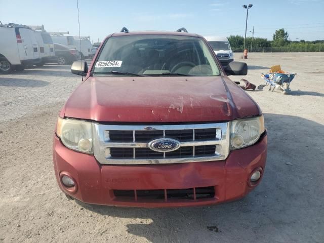 2008 Ford Escape XLT