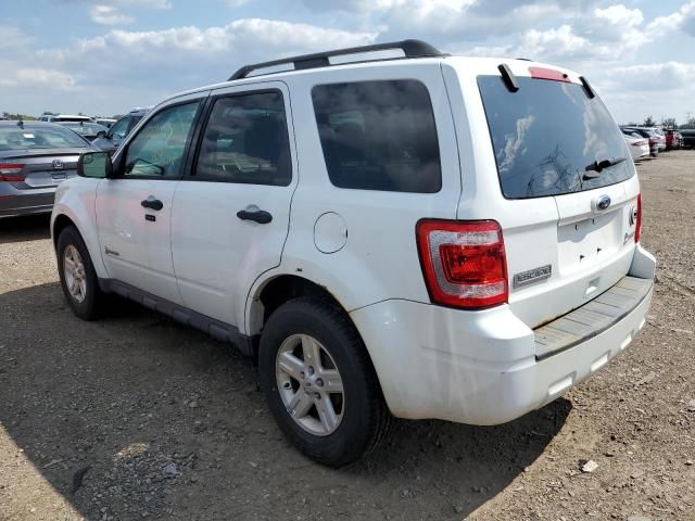 2011 Ford Escape Hybrid