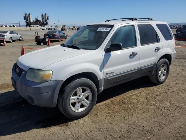 2006 Ford Escape HEV