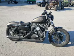 Harley-Davidson Vehiculos salvage en venta: 2020 Harley-Davidson XL883 N