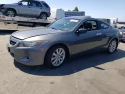 Salvage cars for sale at American Canyon, CA auction: 2010 Honda Accord EXL