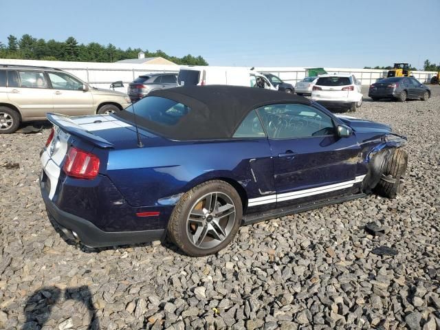 2010 Ford Mustang Shelby GT500