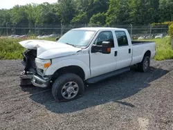 Salvage trucks for sale at Baltimore, MD auction: 2016 Ford F250 Super Duty