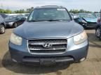 2007 Hyundai Santa FE SE