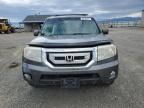 2011 Honda Pilot EXL