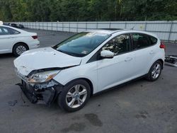 Salvage cars for sale at Glassboro, NJ auction: 2013 Ford Focus SE