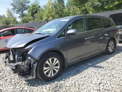 Honda salvage cars for sale: 2016 Honda Odyssey EXL