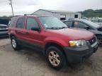 2005 Ford Escape XLT