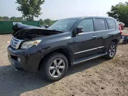 Lexus Vehiculos salvage en venta: 2010 Lexus GX 460 Premium